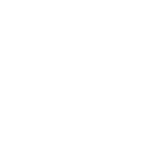 programador